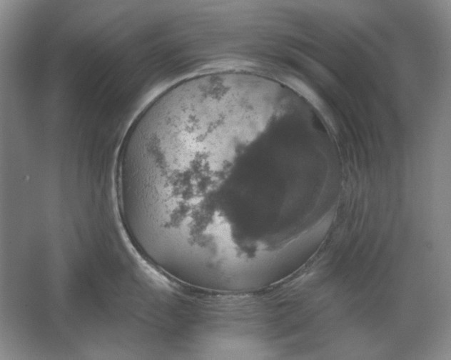 X0000063461055200602101709