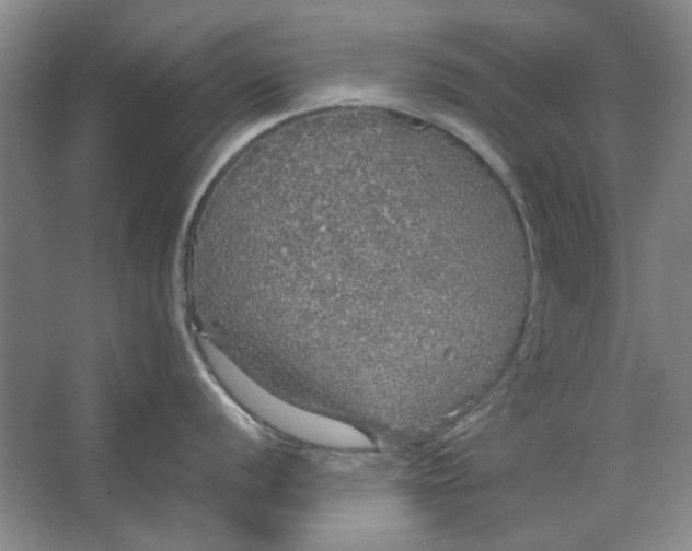 X0000063461056200602101709