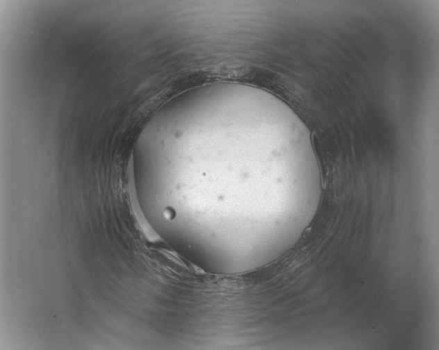 X0000063461058200602101708