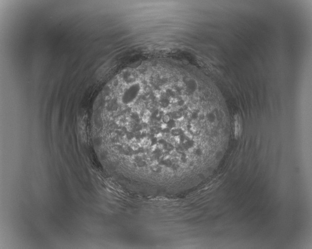 X0000063461059200602101708