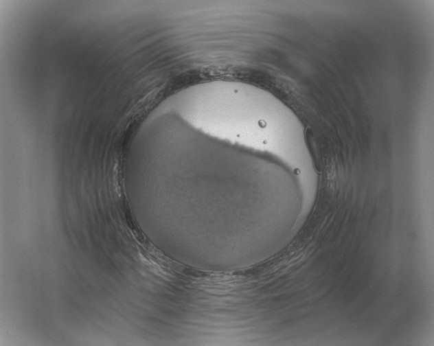 X0000063461060200602101708