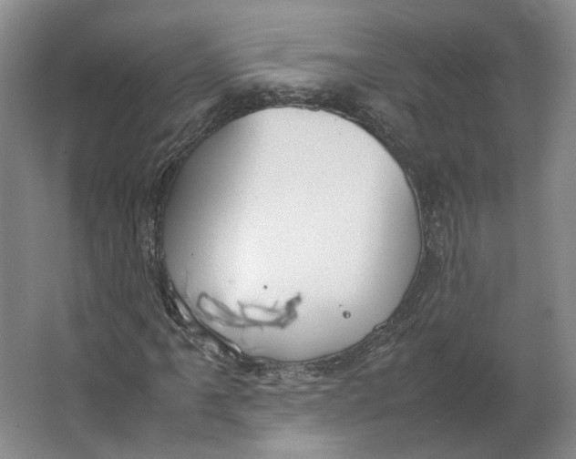 X0000063461061200602101708