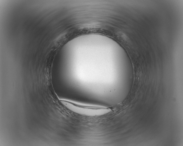 X0000063461062200602101708