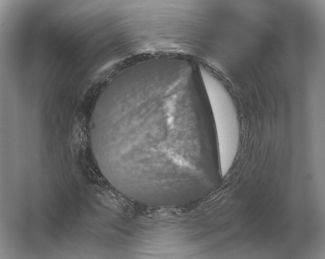 X0000063461063200602101708