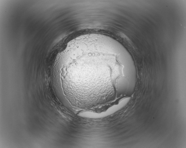 X0000063461064200602101708