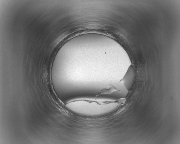 X0000063461065200602101708