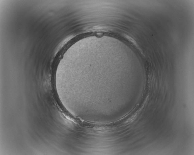 X0000063461066200602101708