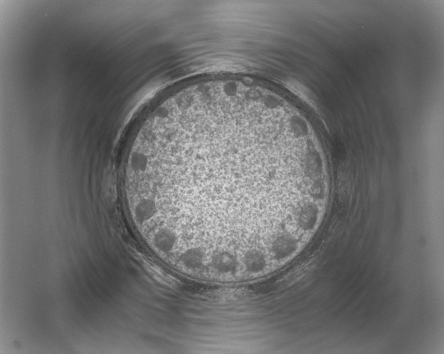 X0000063461067200602101708