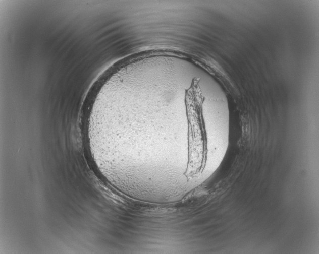 X0000063461068200602101708