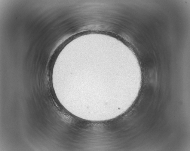 X0000063461070200602101708