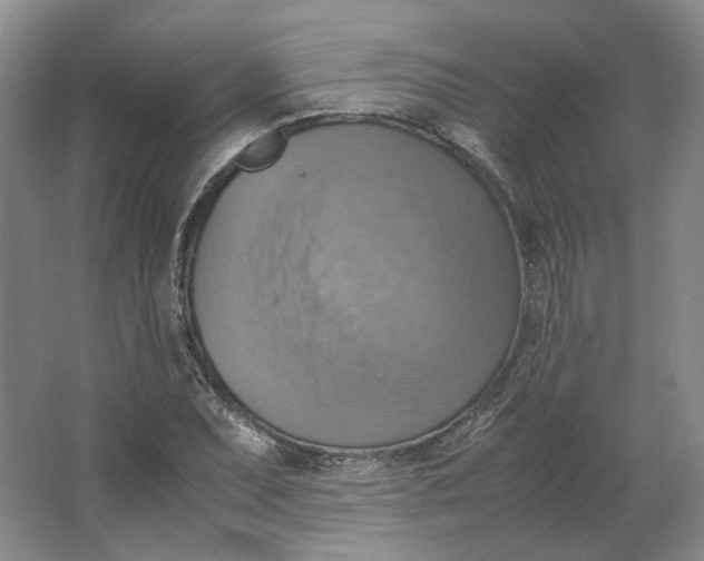 X0000063461071200602101708