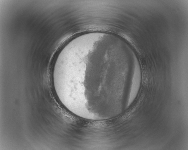 X0000063461074200602101708