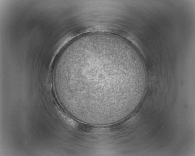 X0000063461075200602101708