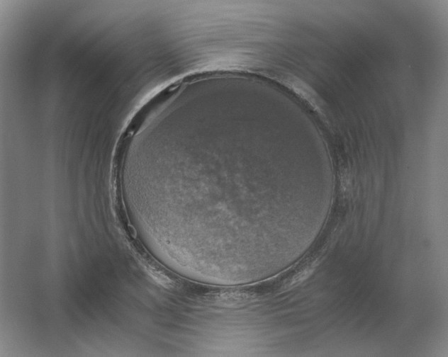 X0000063461077200602101708