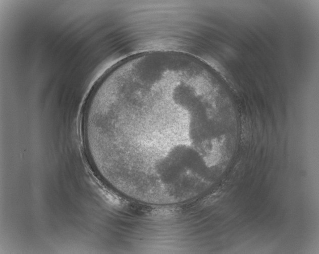 X0000063461078200602101708