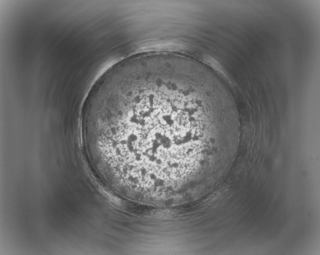 X0000063461079200602101708