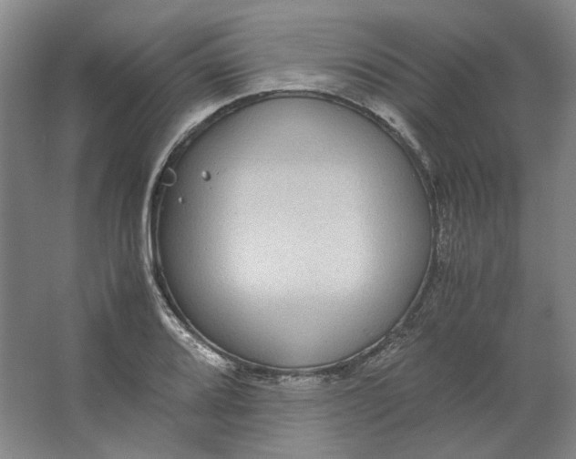 X0000063461080200602101708