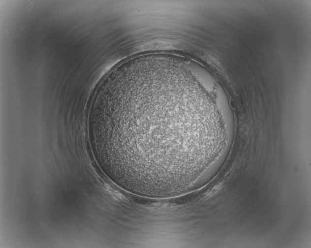 X0000063461081200602101708