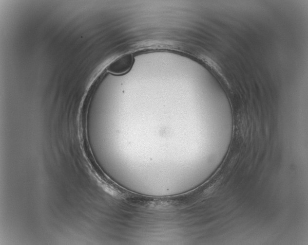 X0000063461082200602101708