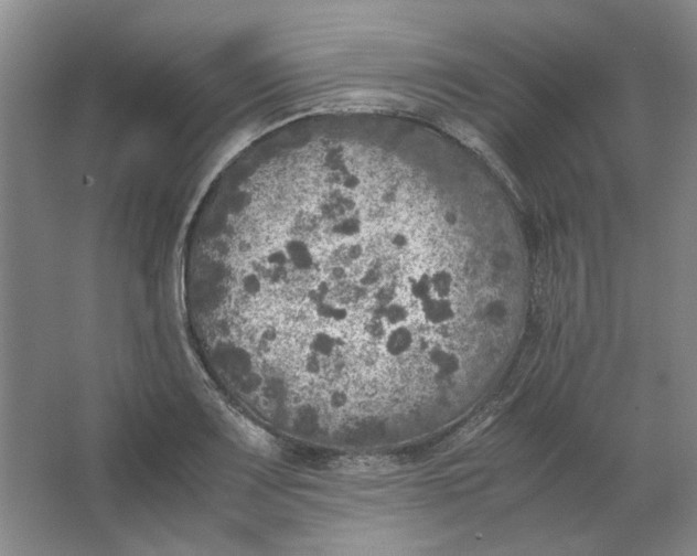 X0000063461083200602101708