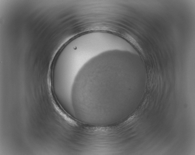 X0000063461084200602101708