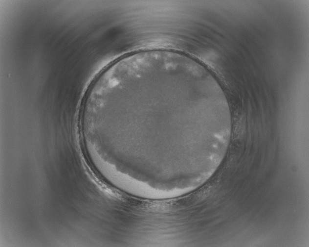 X0000063461086200602101708