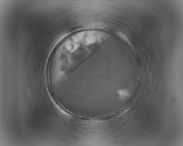 X0000063461087200602101708