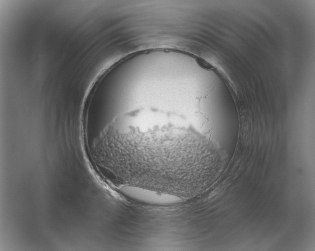 X0000063461088200602101708