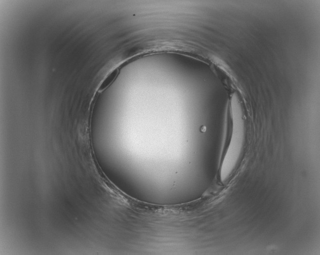 X0000063461089200602101708