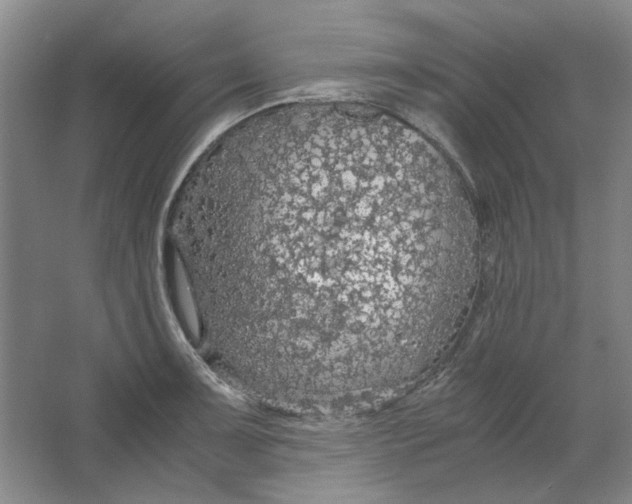 X0000063461091200602101708