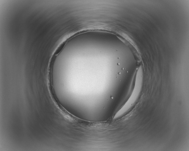 X0000063461093200602101708