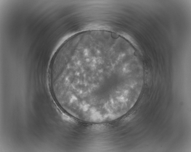 X0000063461094200602101708