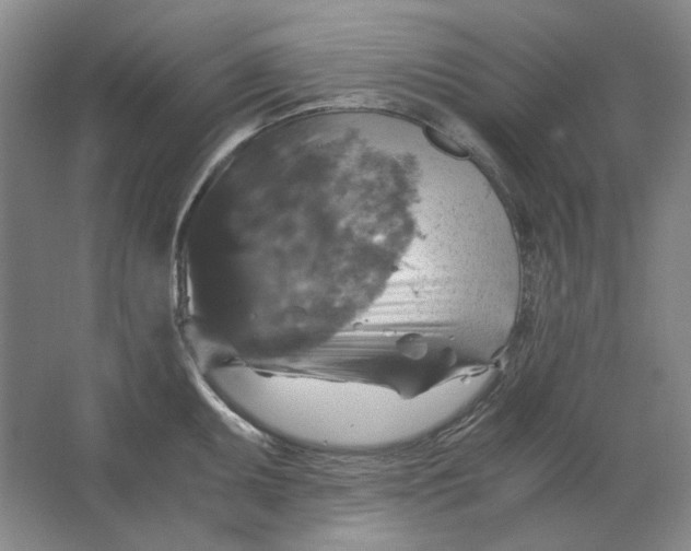 X0000063461095200602101708