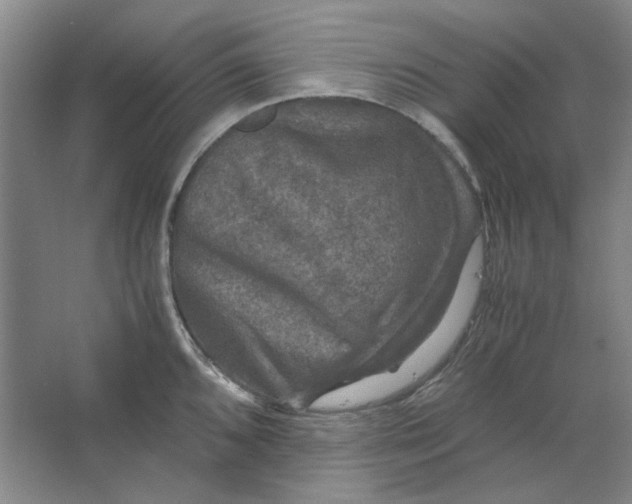 X0000063461096200602101708