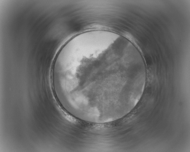 X0000063461098200602101708