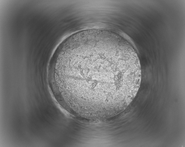 X0000063461099200602101708