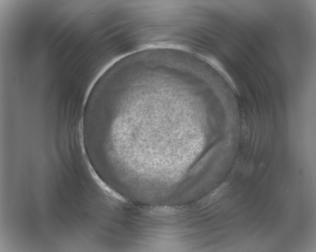 X0000063461100200602101708