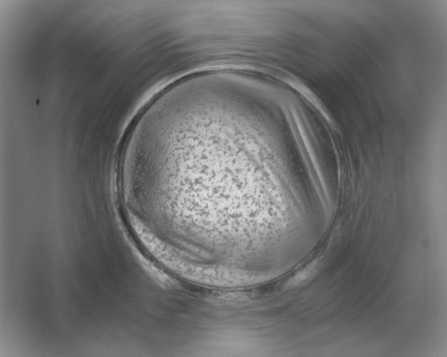 X0000063461101200602101708