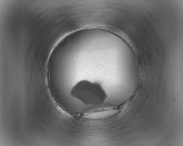 X0000063461102200602101708