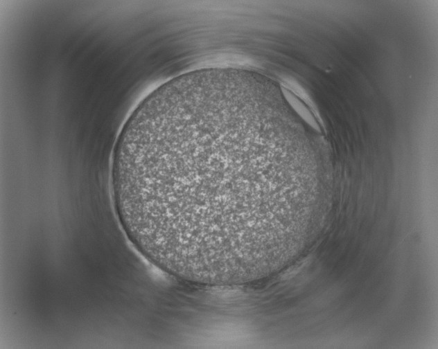 X0000063461103200602101708