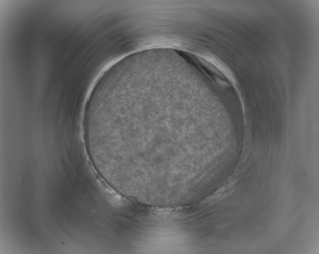 X0000063461104200602101708