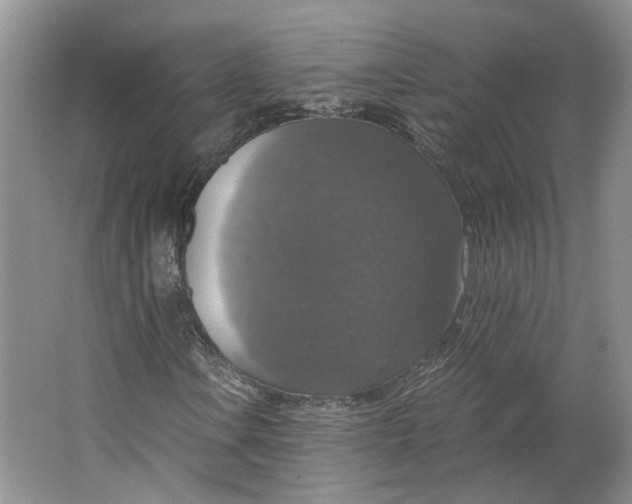 X0000063461106200602101707