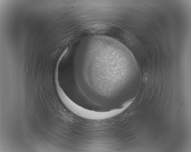 X0000063461108200602101707