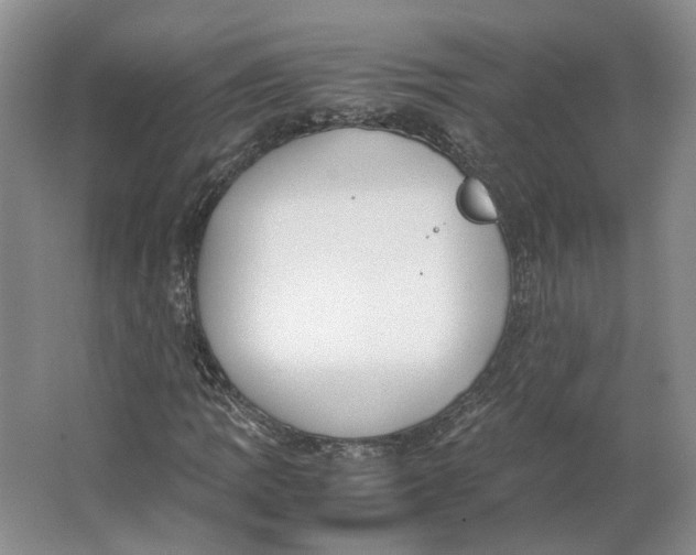 X0000063461109200602101707