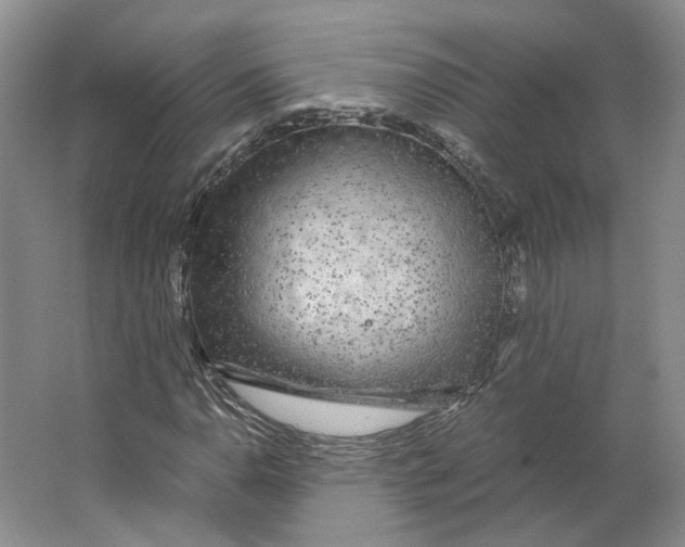 X0000063461110200602101707