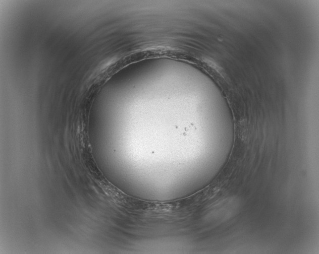 X0000063461111200602101707