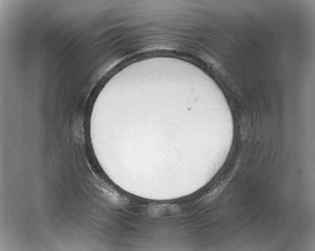 X0000063461113200602101707