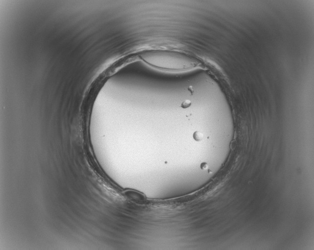 X0000063461114200602101707