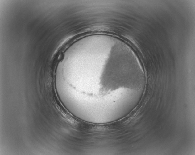 X0000063461115200602101707