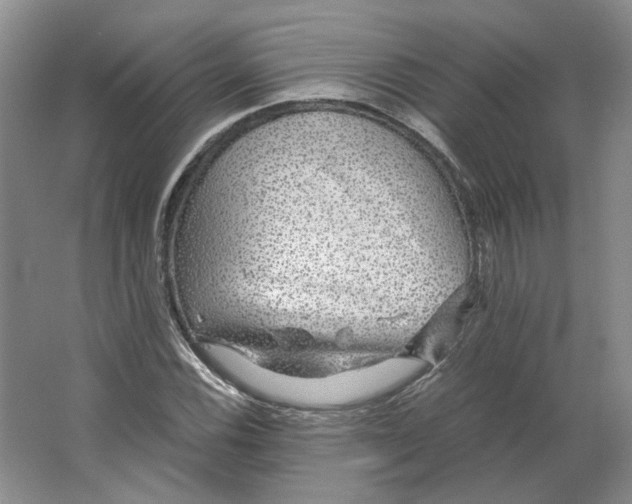 X0000063461116200602101707